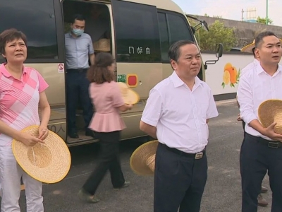 温助民率队调研丙雁乡村振兴示范带创建工作：积极探索具有梅县特色的乡村振兴新路子