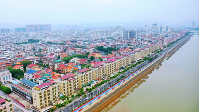 张贤亮调研城区园林绿化和市政维护工作 打造更高品质“三宜”智慧之城