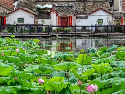 【俗语】打冤家