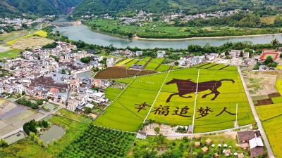 梅州日报庆祝2022年中国农民丰收节特别报道丨加快推进农业农村现代化，绘就红色苏区的“金色梦想”
