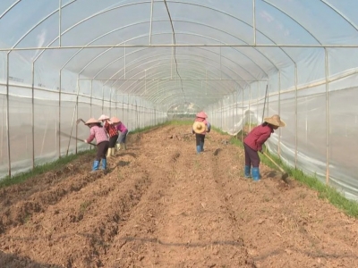 梅县南口镇：驻地部队捐赠蔬果大棚 军民携手共促乡村振兴