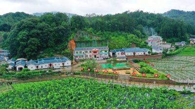 奋进新征程 建功新时代·非凡十年丨平远1484户3969名贫困人口20个相对贫困村全部脱贫！