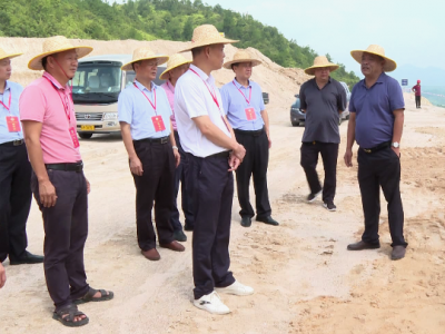 大埔县政协组织开展“矿山石场治理复绿”专题调研