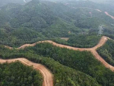 严防森林火灾 守护绿水青山！梅江区多措并举筑牢森林防火安全墙