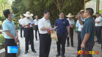 市政协一行到五华开展驻镇帮镇扶村专题调研