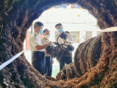 抓发展 促增长 稳经济丨梅州海关多举措助力中小微出口企业纾困渡难关