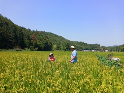 “让乡亲们奔着更好的日子去！”梅州市烟草专卖局（公司）结对帮扶平远八尺镇成效显著