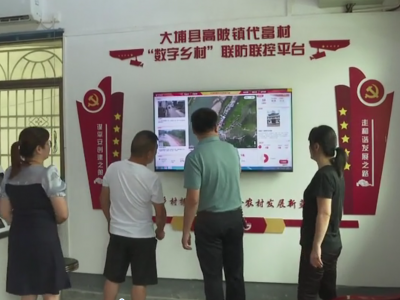 大埔：数字技术拥抱乡村 推动乡村治理变“智”理