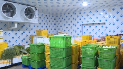 放心！丰顺全县各类生活物资储备充足，市场供应有保障