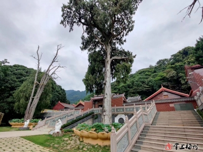 梅县区新城中心小学郭沁怡丨灵光寺的“三绝”