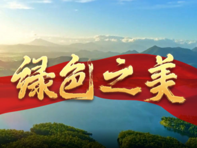 大型政论片《我们的新时代》第五集《绿色之美》