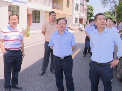 温助民率队调研丙雁乡村振兴示范带创建工作