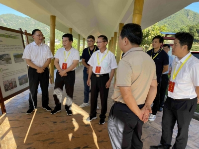 戚优华到梅县区开展重点提案督办调研：坚持以产业发展带动乡村全面振兴