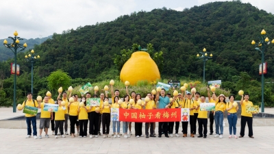 为柚“打Call”！“中国柚子看梅州”采风宣传活动在大埔县启动