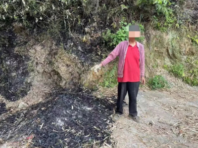 引以为戒！这些行为造成森林火灾，肇事者被追责→