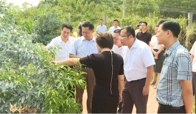 梅州市委乡村振兴专项督查组到兴宁督查农产品冷链物流设施建设工作