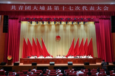 青春向党守初心 逐梦复兴向未来！共青团大埔县第十七次代表大会召开