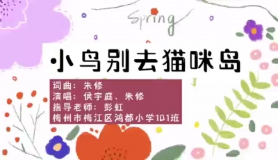 5.《小鸟别去猫咪岛》