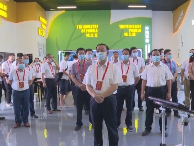 梅县区政协组织开展专题视察：加强现代农业产业园建设 力促乡村振兴