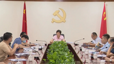 梅县区召开丙雁乡村振兴示范带创建工作推进会