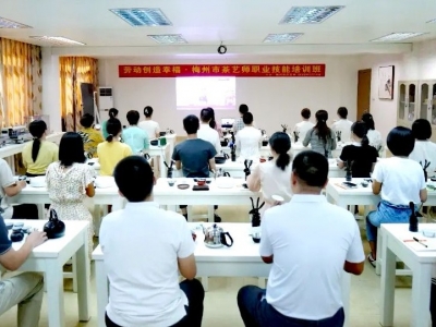 劳动创造幸福·梅州市茶艺师职业技能培训班开班