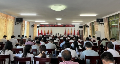 大埔洲瑞镇召开“讲政治 转作风 强责任 抓落实”主题活动动员会