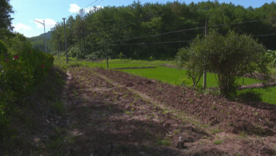 平远：新力量“啃”下撂荒地 认耕复种闲田变增收田