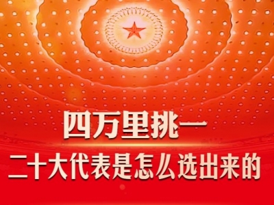四万里挑一！二十大代表是怎么选出来的