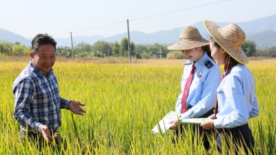 服务“春风”吹靓寿乡风光！蕉岭税务部门多措并举护航县域经济高质量发展