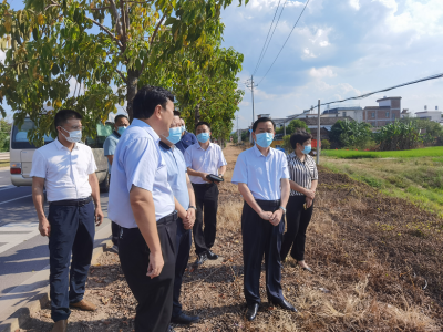 洪国华到新陂镇调研乡村振兴、复耕复种、疫情防控等工作