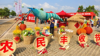 喜迎二十大丨又是一年好“丰”景  农民致富道路宽！一起来感受梅州的丰收喜悦吧