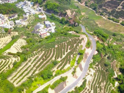 美好生活在路上！“四好农村路”铺就大埔百姓的“幸福路”