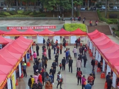 灵活就业人员如何参保？人社部有关负责人介绍