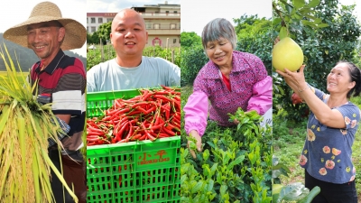 感受丰收的喜悦！一组图带你赴一场梅州金秋盛宴→