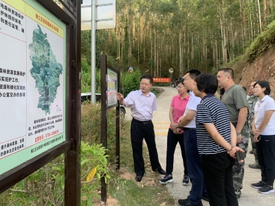 陈金銮到梅江区开展巡林和森林防灭火检查工作：抓细抓实林长制 筑牢森林防火墙