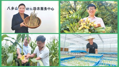 创业兴业激活乡村振兴新动能！来看丰顺县“新农人”这样闯出致富新路子→