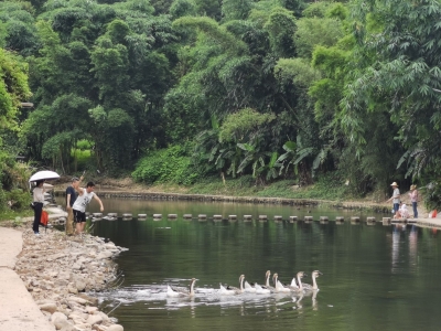 梅江周末·梅水