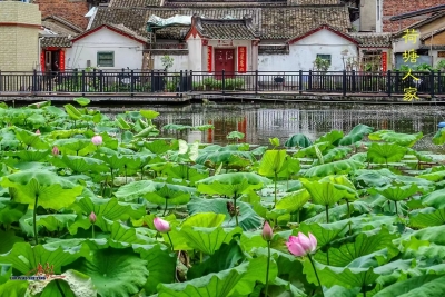 散文｜家乡有一座祠堂