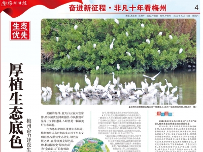 非凡十年看梅州丨厚植生态底色 描绘美丽画卷！梅州奋力建设生态发展先行示范市