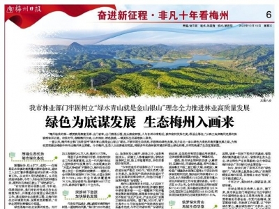 非凡十年看梅州丨绿色为底谋发展 生态梅州入画来