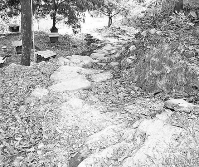 红色交通枢纽河西村