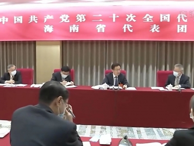 韩正参加党的二十大海南代表团讨论