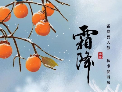 节气里的中国｜霜降：柿红菊华 米谷满仓