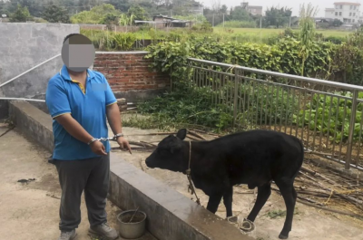 半日工夫， 兴宁“牛哥”栽了！