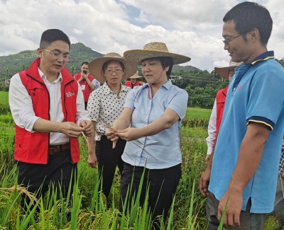 梅州苏区振兴发展的强力助推器和减压阀！来看看梅州金融业这十年的大发展和勇担当