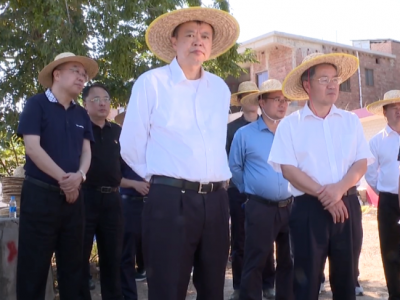 省水利厅、省农业农村厅一行到五华调研小型农田水利建设试点工作