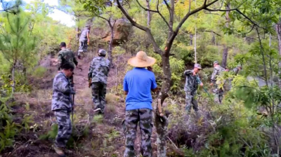 为安全“加码”！丰顺落实落细措施 全力筑牢森林“防火墙”