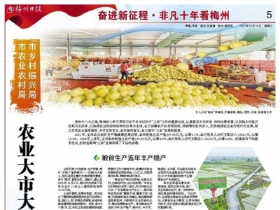 非凡十年看梅州丨农业大市大作为 “三农”发展谱新篇