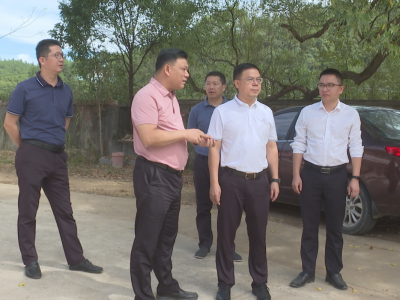 刘裕君到新铺镇调研乡村振兴并督导撂荒耕地复耕复种工作