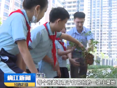 劳动创造幸福｜种菜做饭、打扫整理、养护绿植...梅江区这所小学的“花样”劳动课，有意思！